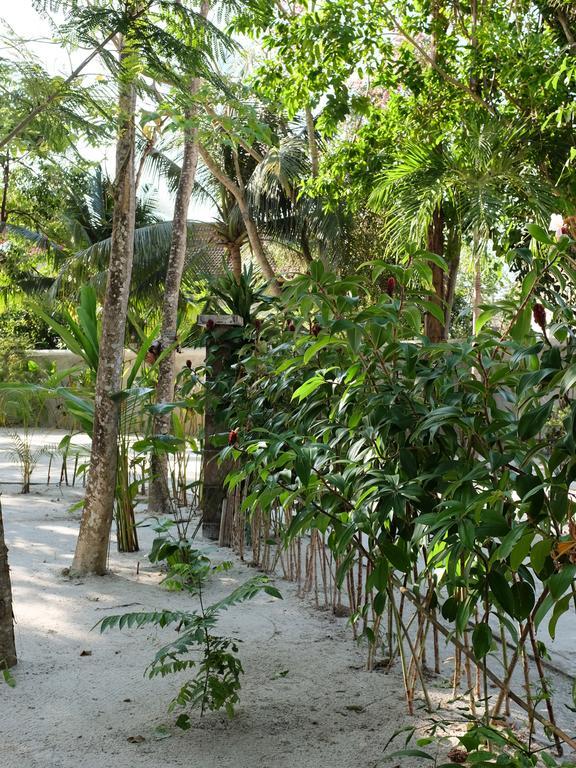 Rumah Jah Langkawi ปันไตเจอนัง ภายนอก รูปภาพ
